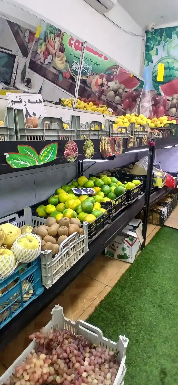 طبق آهنی میوه فروشی|فروشگاه و مغازه|رشت, حمیدیان|دیوار