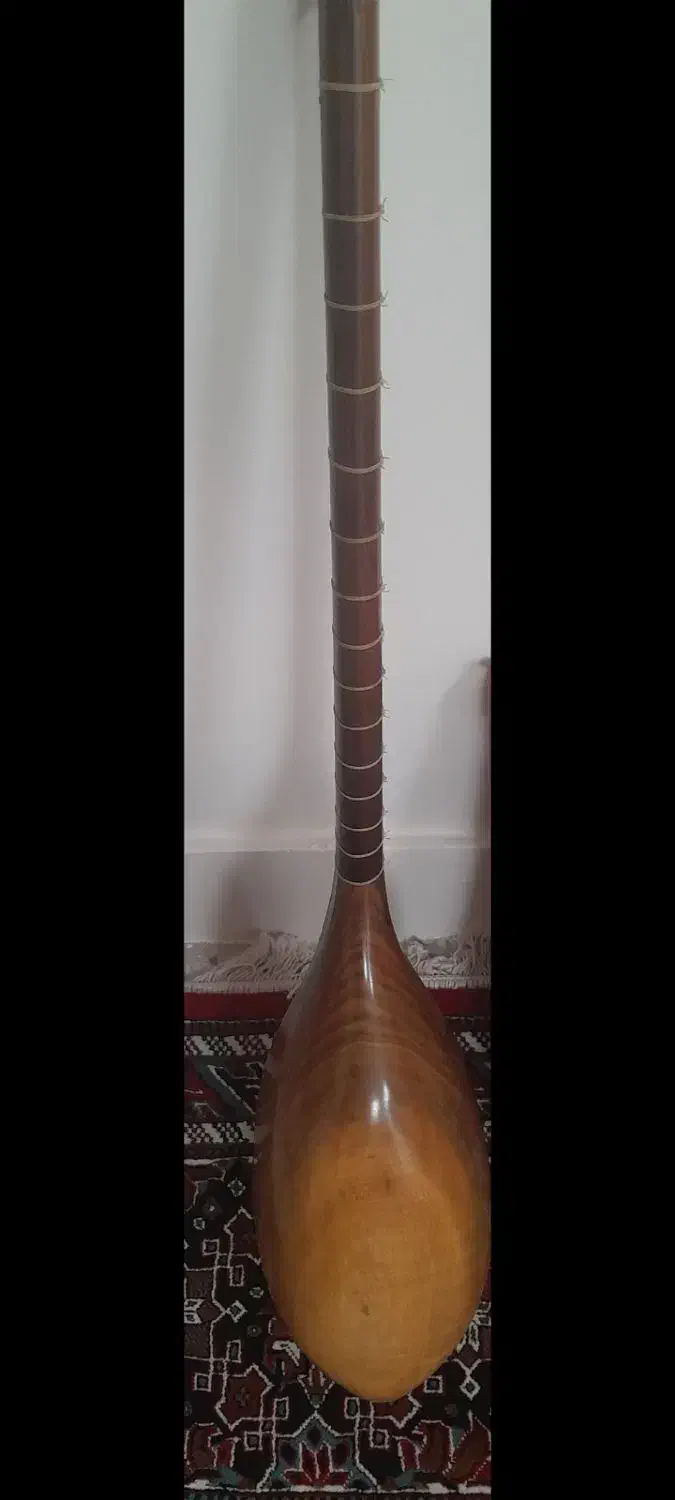 تنبور|سازهای سنتی|کوهدشت, |دیوار