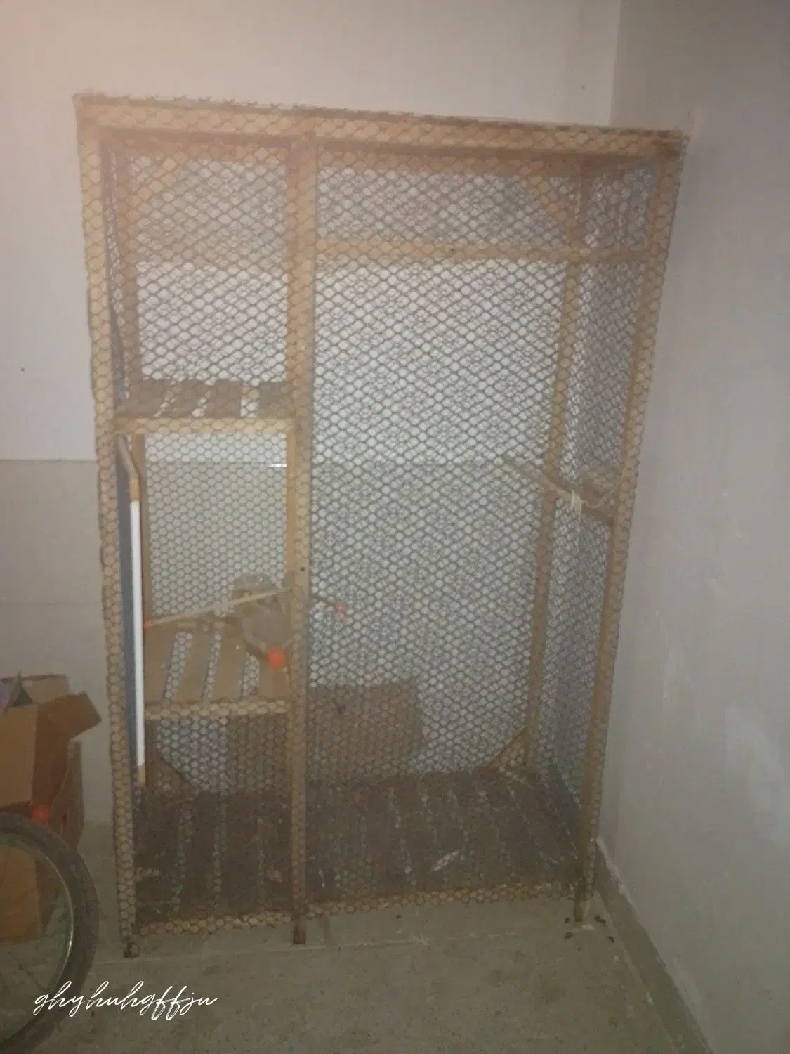 قفس ،جفتگاه کبوتر ،کفتر|لوازم جانبی حیوانات|کاشمر, |دیوار