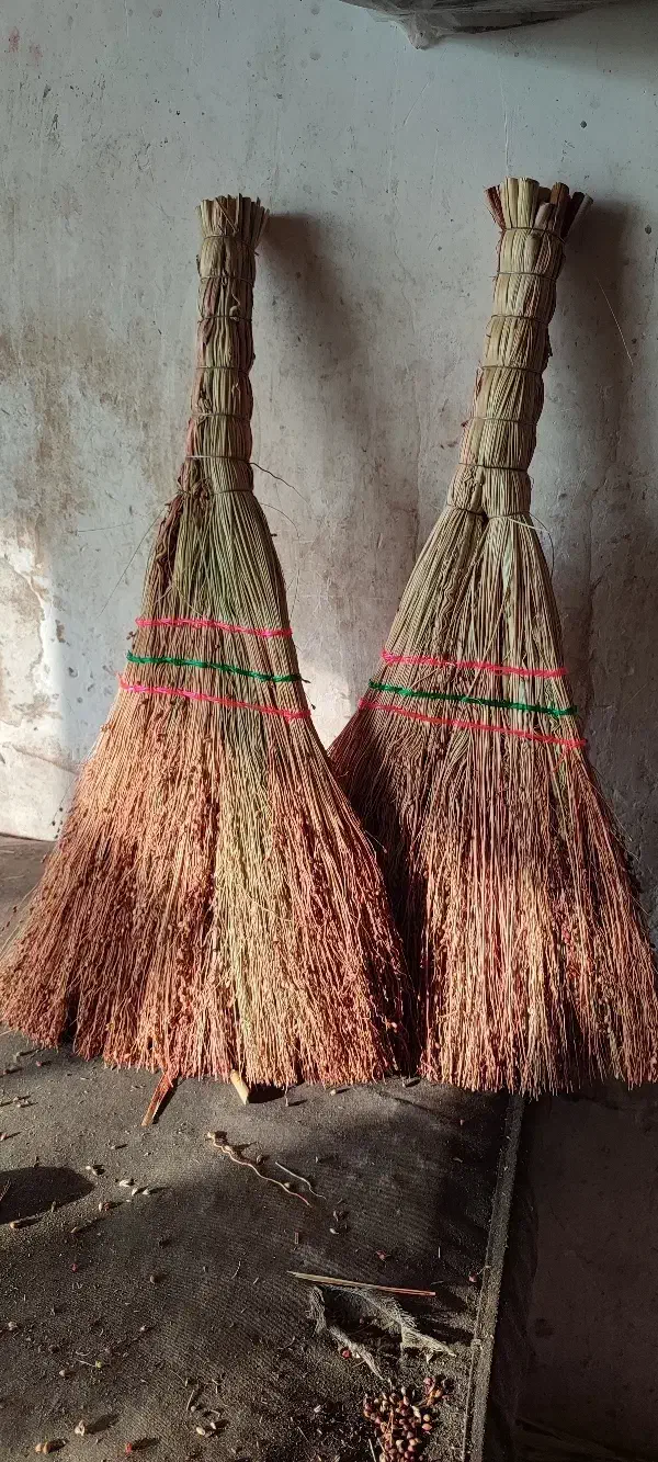 جارو|جاروبرقی، جارو شارژی، بخارشو|میانه, |دیوار