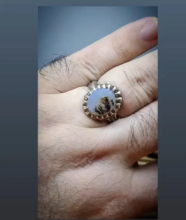 انگشتر شجر قائنات زنده و اصل|جواهرات|رشت, حافظ آباد|دیوار