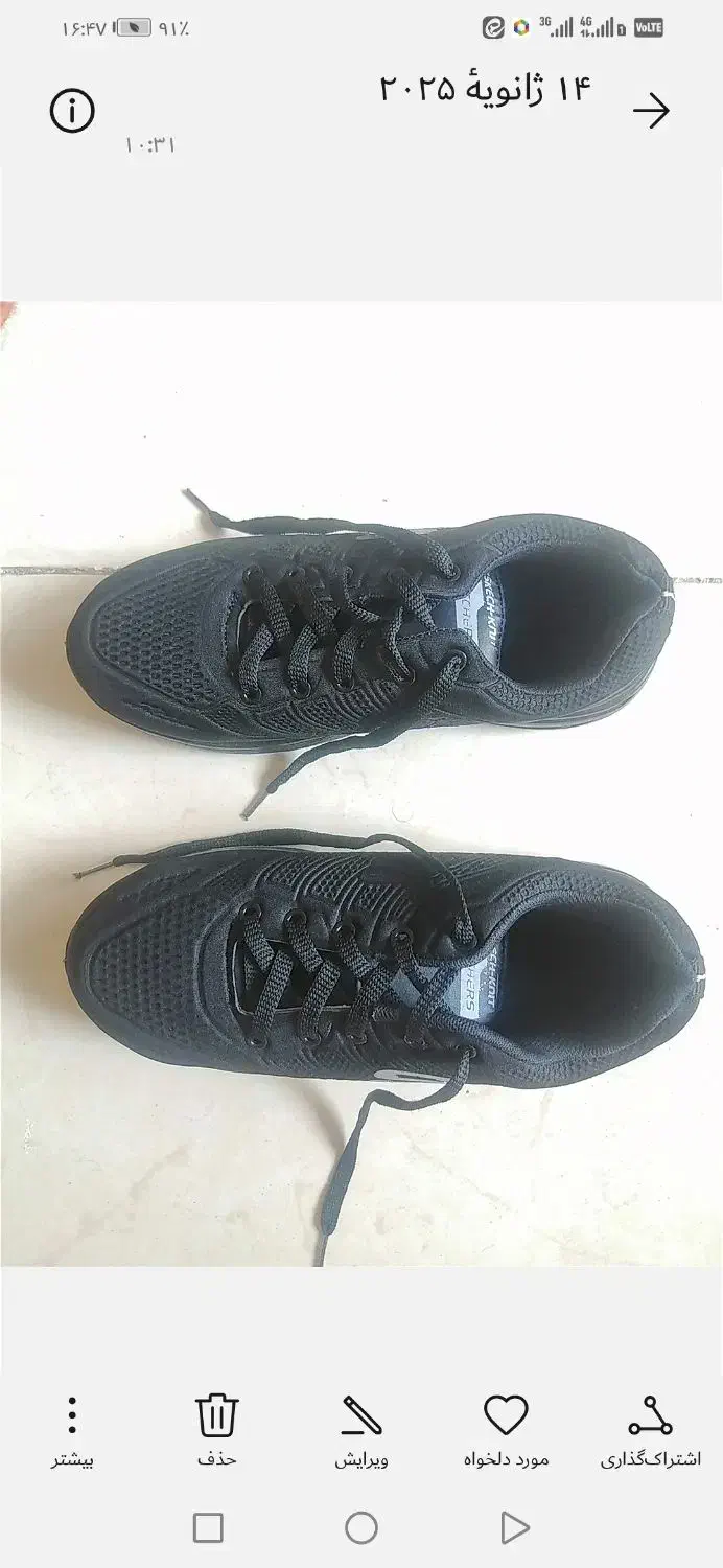 درشهرضا|کیف، کفش، کمربند|شهرضا, |دیوار