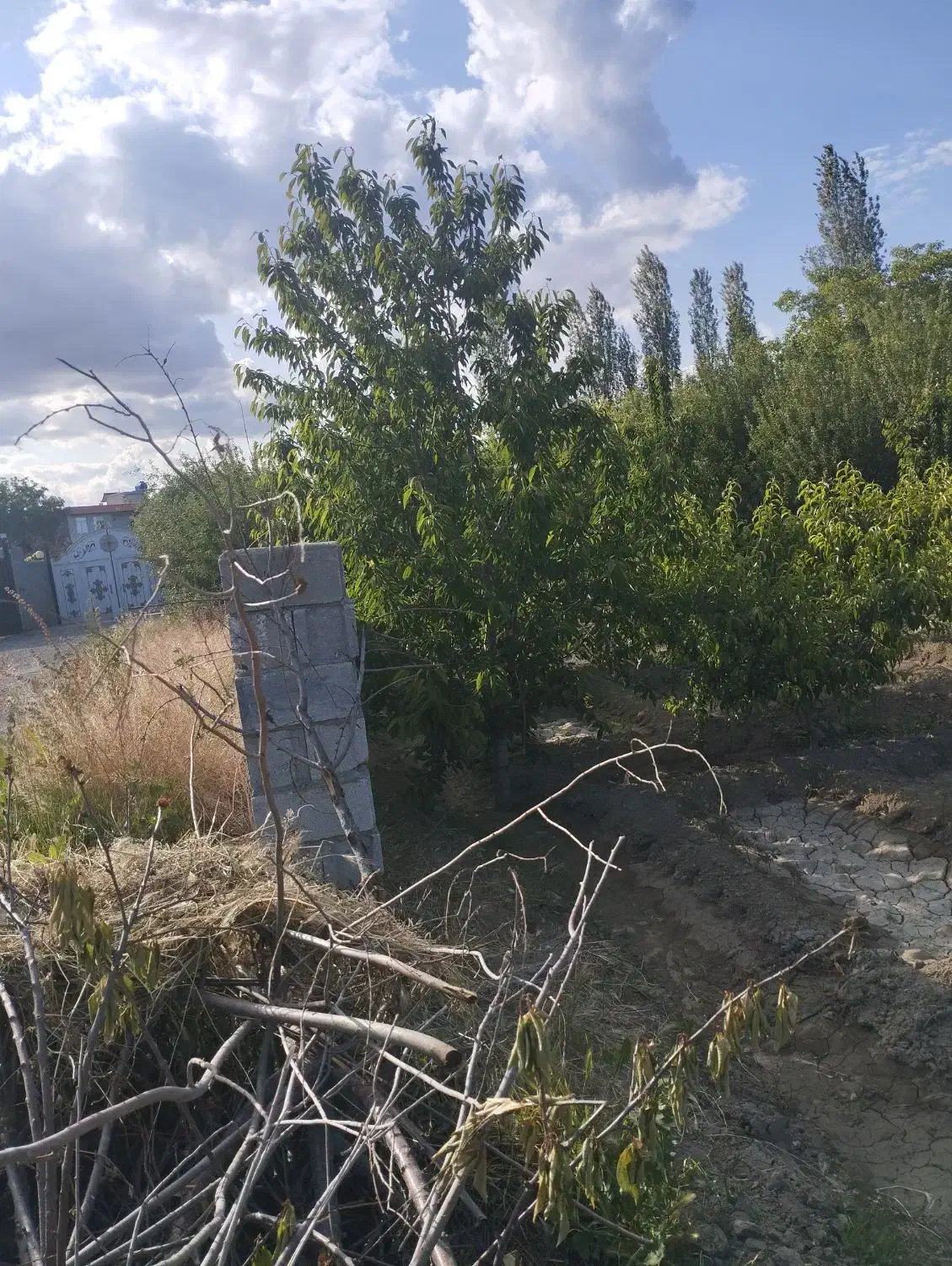 باغچه در روستای شیخ سرمست|فروش زمین و ملک کلنگی|ارومیه, |دیوار