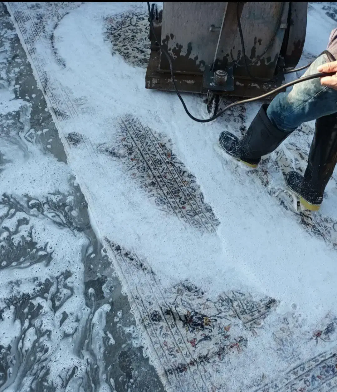 قالیشویی پاتریس|خدمات نظافت|زاهدان, |دیوار