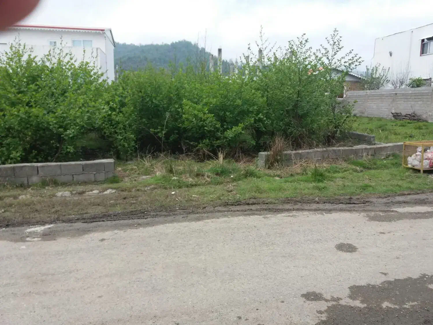 فروش زمین|فروش زمین و ملک کلنگی|تالش, هشتپر|دیوار