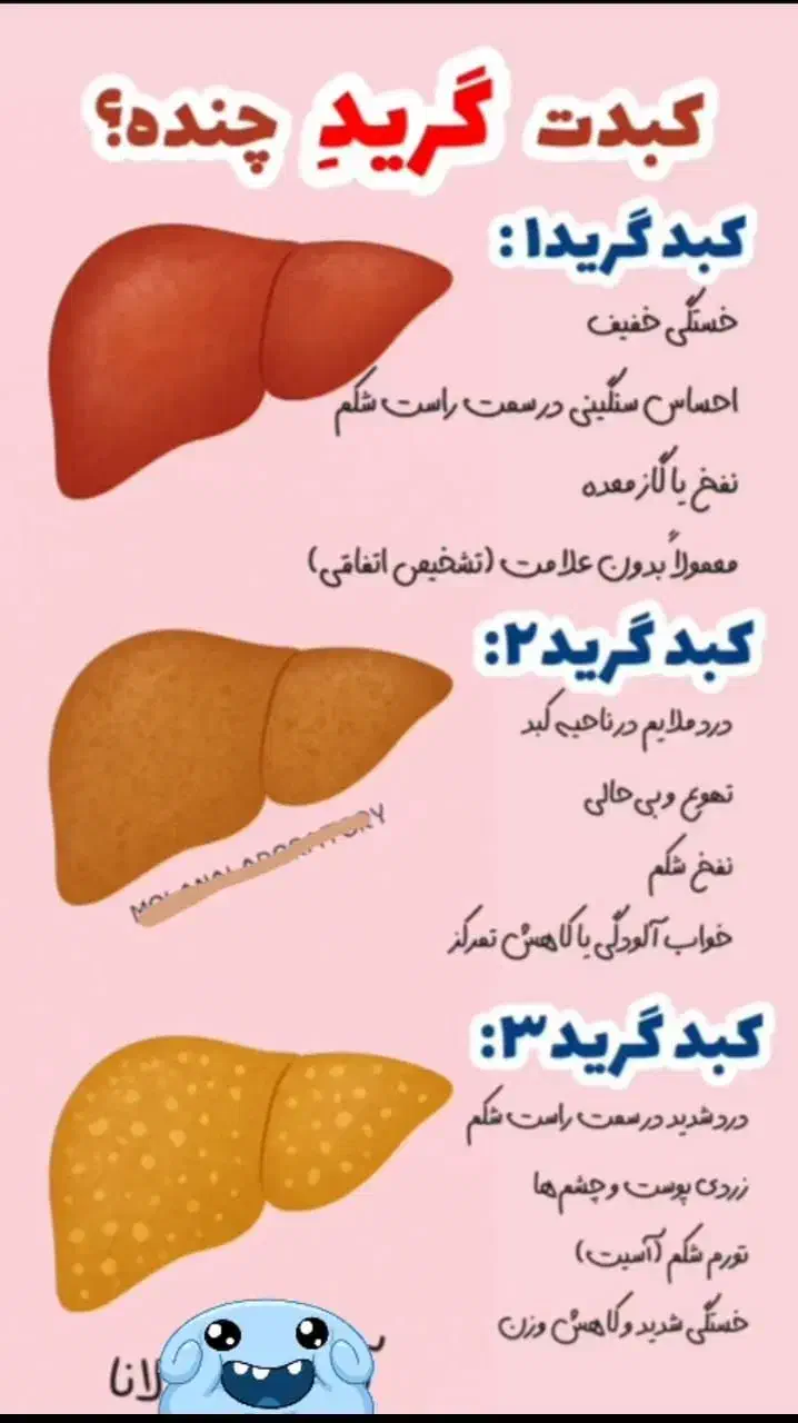 گریدچندی|آرایشی، بهداشتی، درمانی|بندر دیر, |دیوار