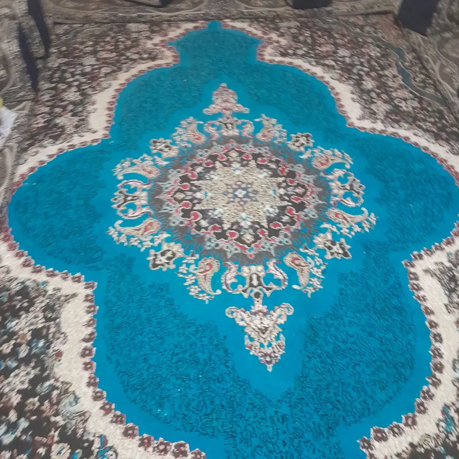 قالی|فرش|خرمشهر, |دیوار