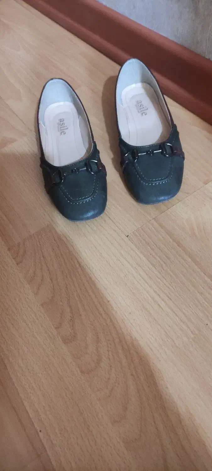 کیف و کفش ست|کیف، کفش، کمربند|گنبد کاووس, |دیوار