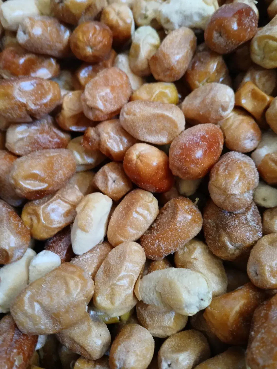 سنجد خشک شده دانه درشت  امسال|خوردنی و آشامیدنی|شیراز, درکی|دیوار