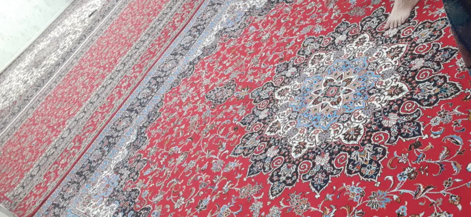 فرش|فرش|دره شهر, |دیوار