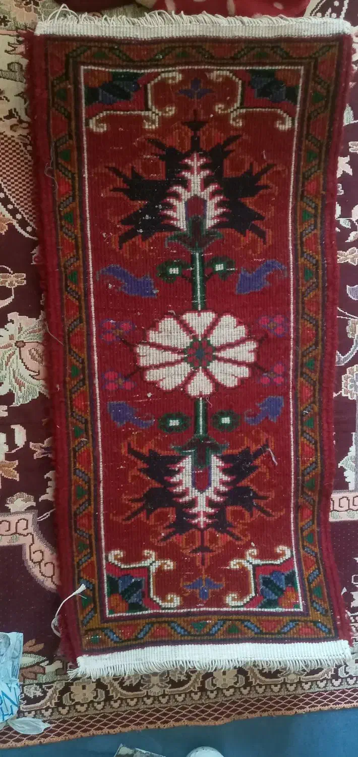 فرش پادری|پادری|تبریز, |دیوار