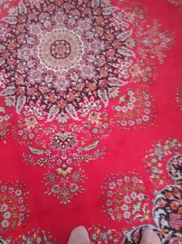 فروش فرش کارکرده|فرش|خشکبیجار, |دیوار