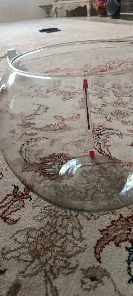 تنگ بلور|صنایع دستی و سایر لوازم تزئینی|محمدشهر, محمدشهر|دیوار