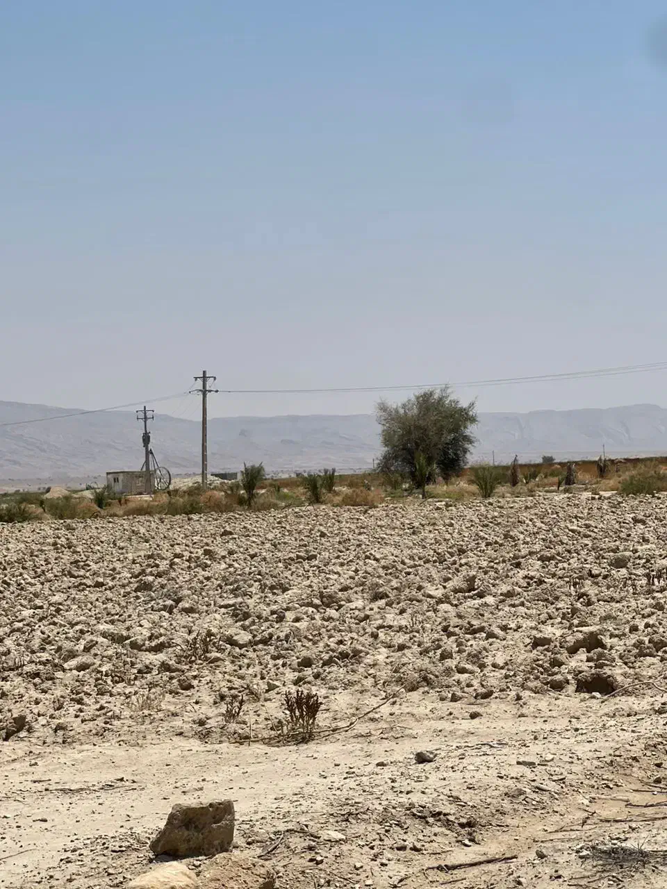 اجاره ی زمین ۱۹هکتاری چاه برقی|اجارهٔ دفتر صنعتی، کشاورزی، تجاری|بندرعباس, |دیوار