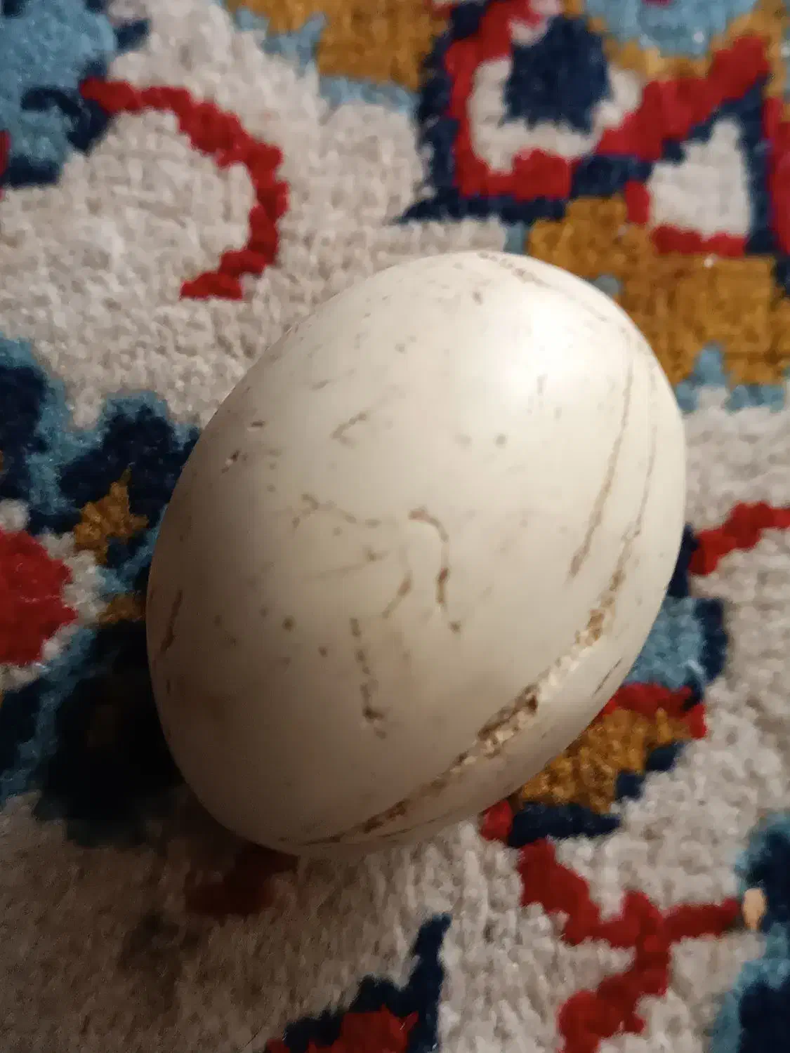 گوهرشب چراغ|کلکسیون اشیاء عتیقه|اژیه, |دیوار