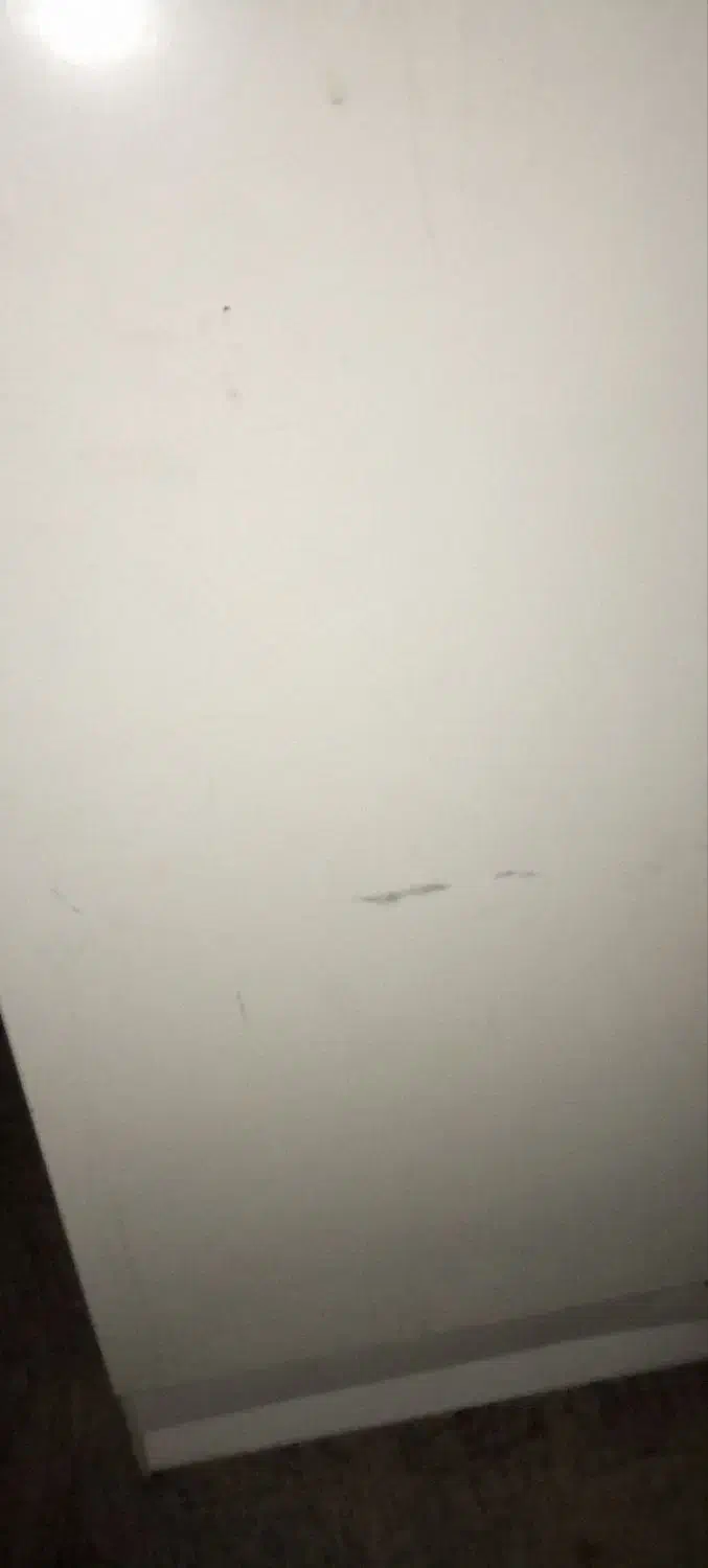 یک عدد یخچال ساده|یخچال و فریزر|دشتابی, |دیوار