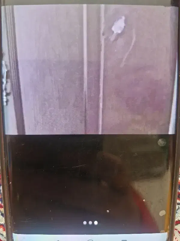 درب چوبی|میز و صندلی غذاخوری|سهند, |دیوار