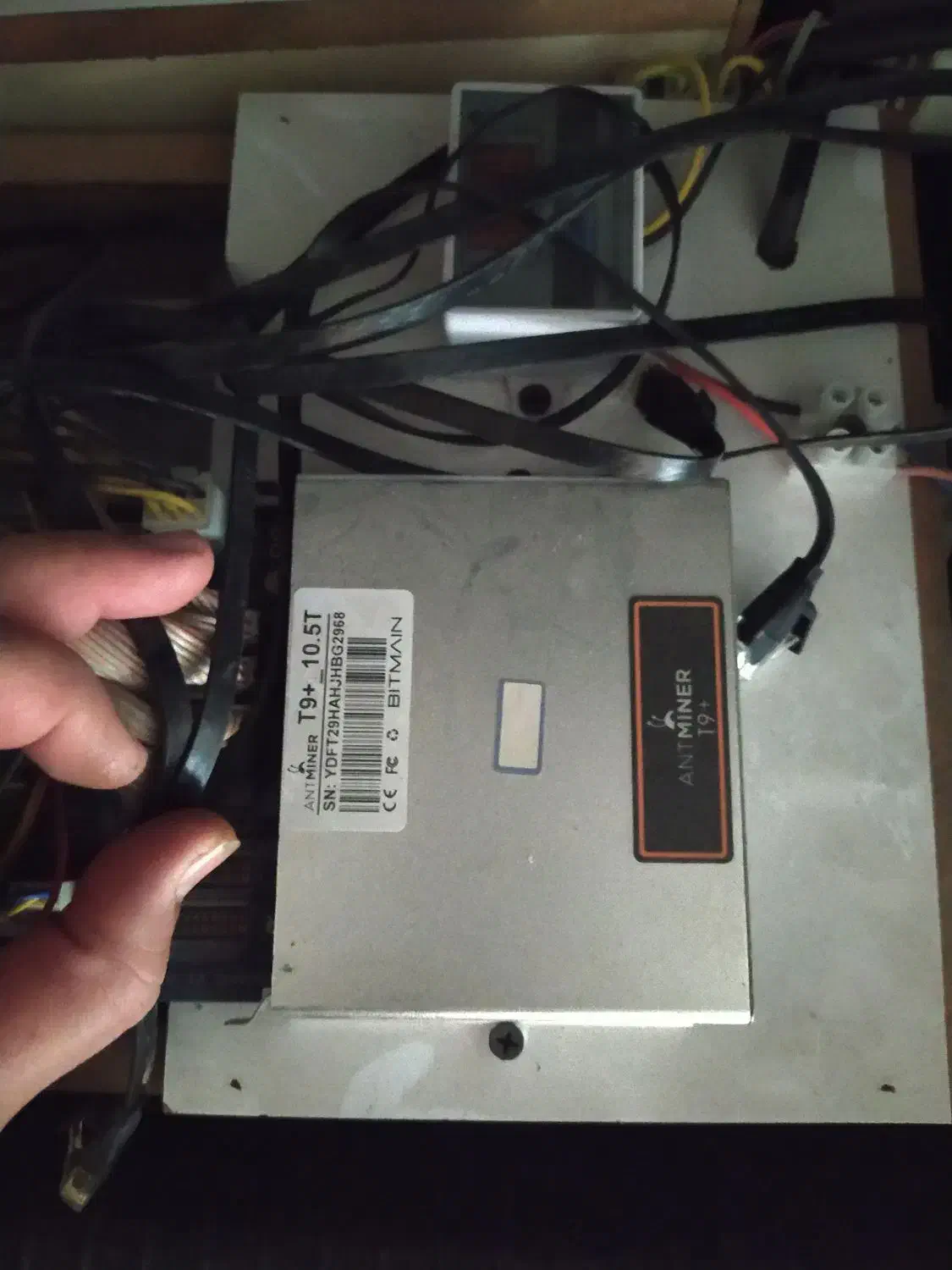 ماینر T9|قطعات و لوازم جانبی رایانه|تبریز, |دیوار