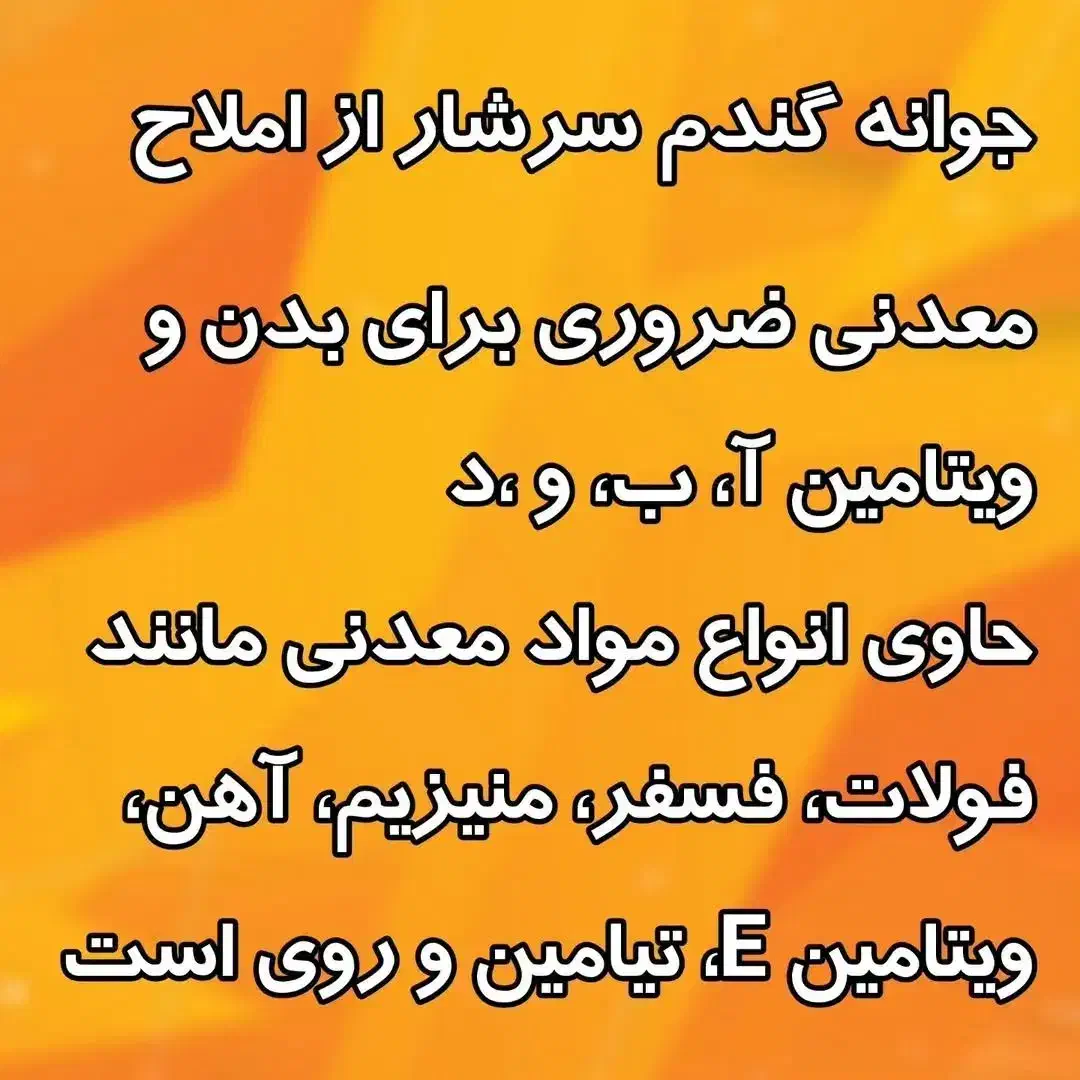 پودر جوانه ی گندم|آرایشی، بهداشتی، درمانی|سلماس, |دیوار