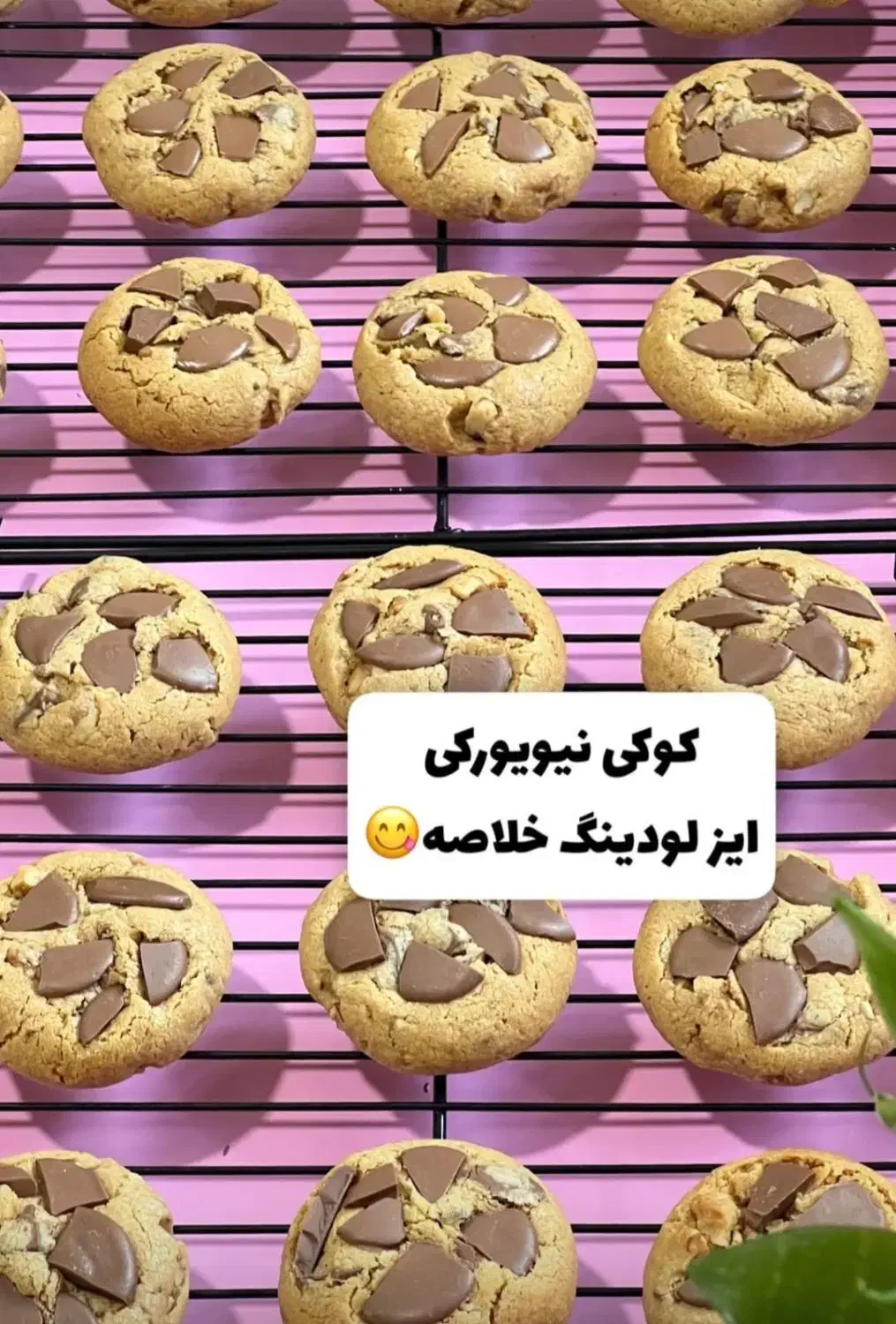 کوکی ،نیویورکی ویترین کافه ها|خوردنی و آشامیدنی|اهواز, کوی آغاجاری|دیوار