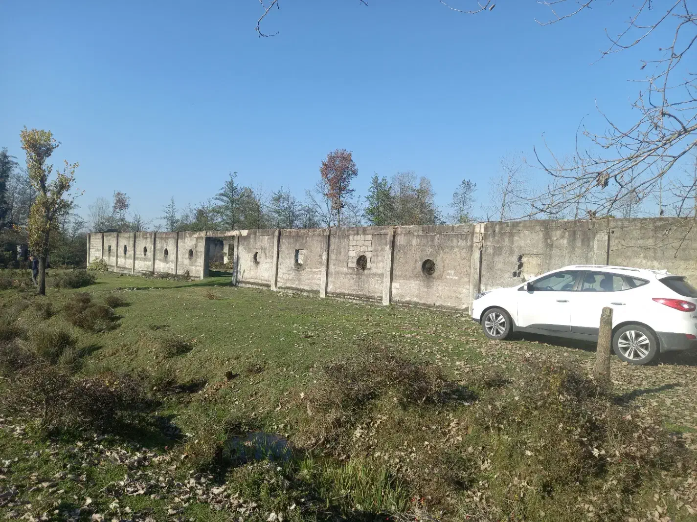 زمین مرغداری|فروش زمین و ملک کلنگی|سیاهکل, |دیوار