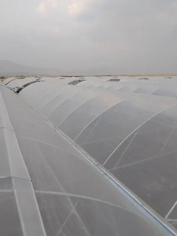 تعویض پلاستیک گلخانه|خدمات پیشه و مهارت|یاسوج, |دیوار