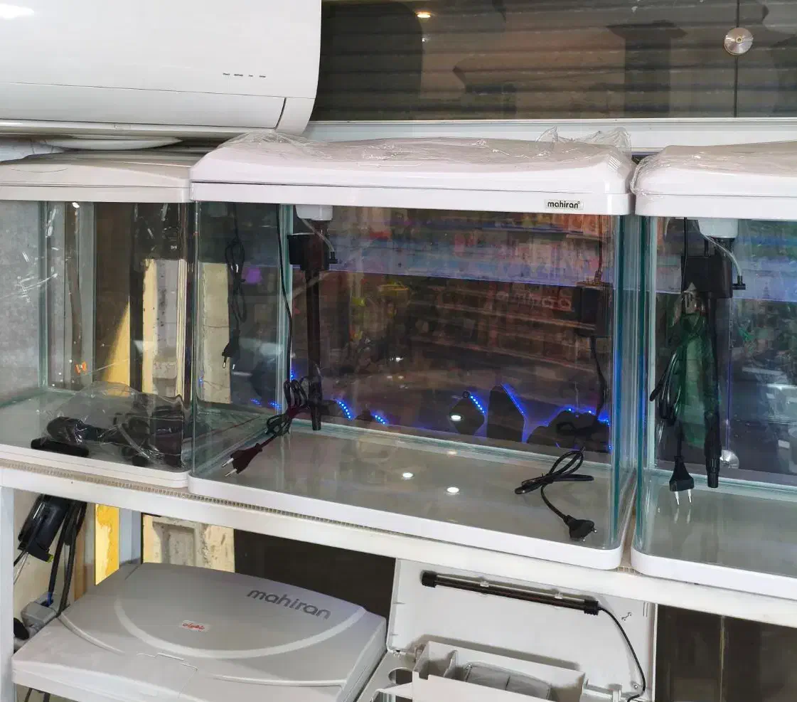 آکواریوم MC600 ماهیران|ماهی|اصفهان, سروستان|دیوار