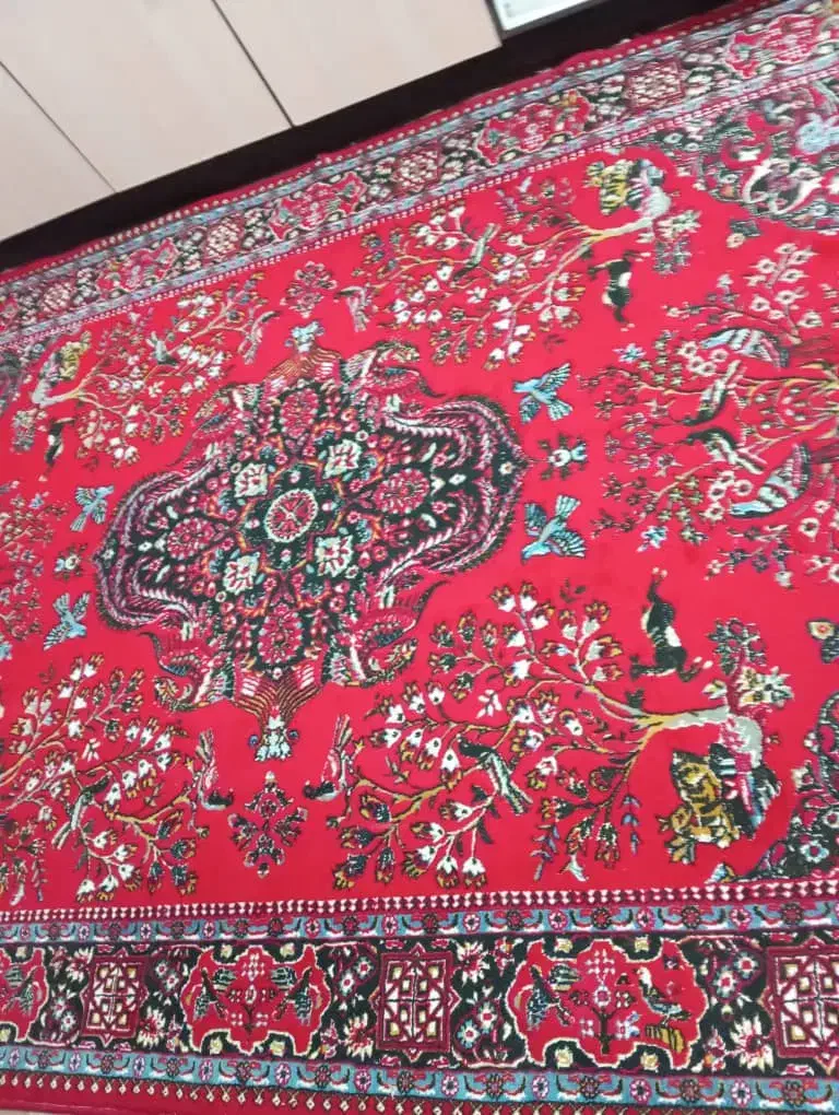 فرش کمد گازفر|فرش|پلدختر, |دیوار