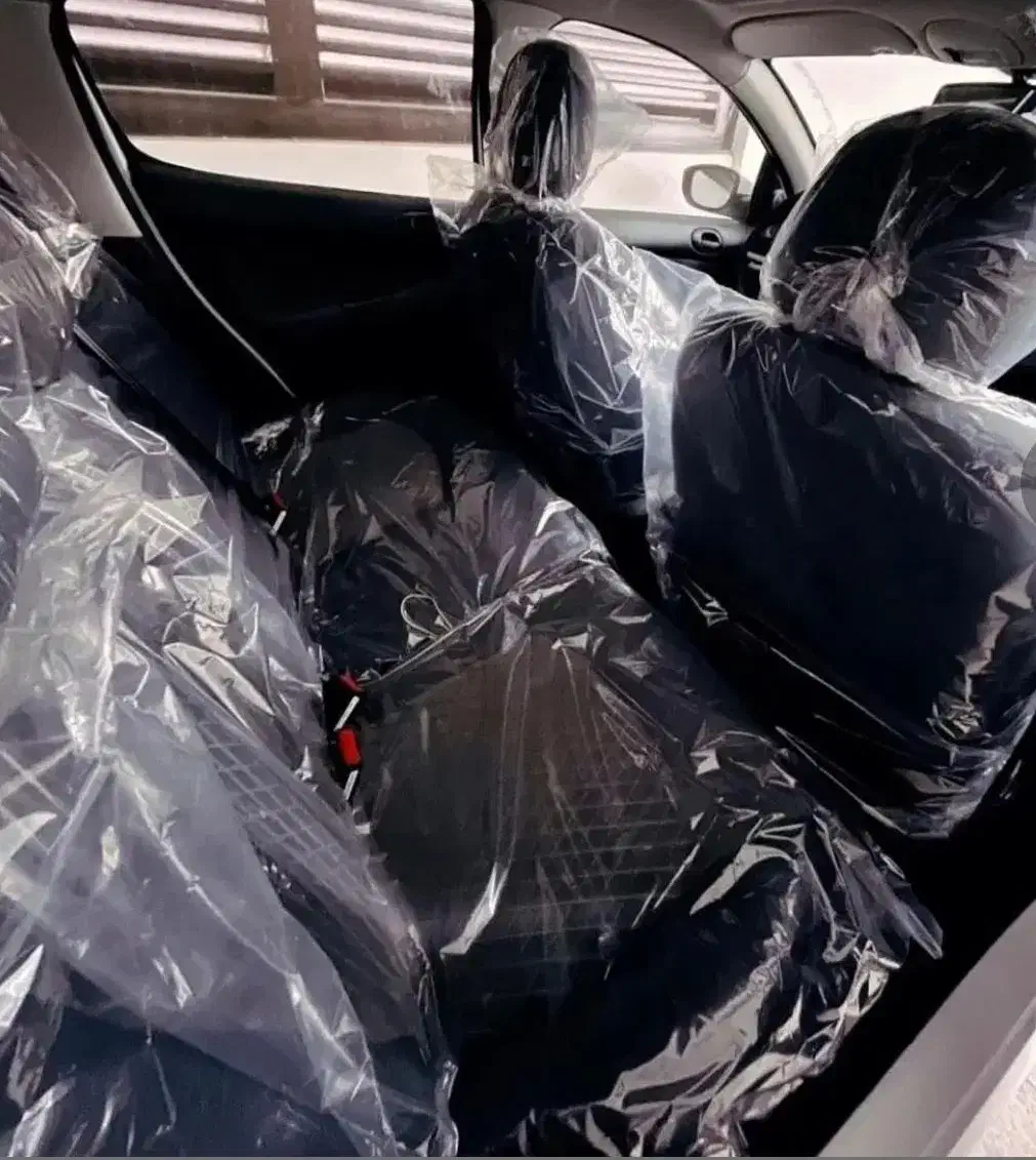 207 پانا ۱۴۰۴ صفر|خودرو سواری و وانت|کرج, مهرویلا شمالی|دیوار