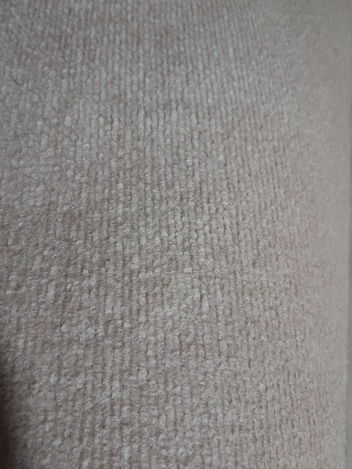 موکت تمیزوسالم|موکت|رودبنه, |دیوار