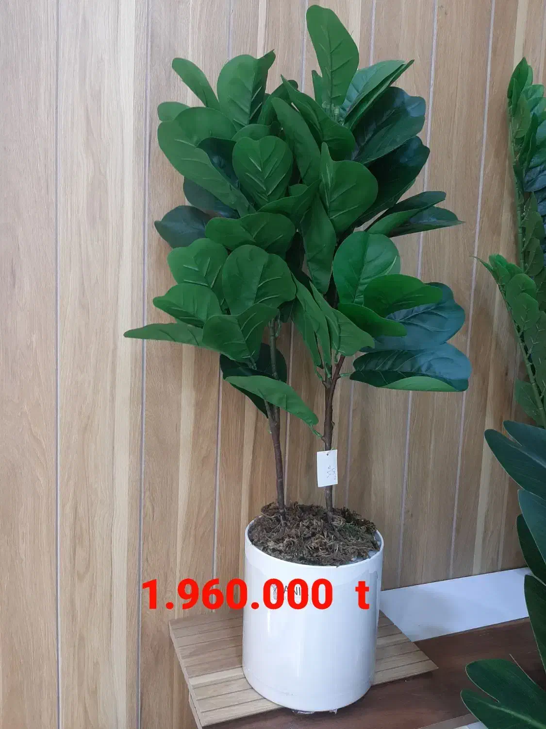 درختچه مصنوعی|گل مصنوعی|خورموج, |دیوار