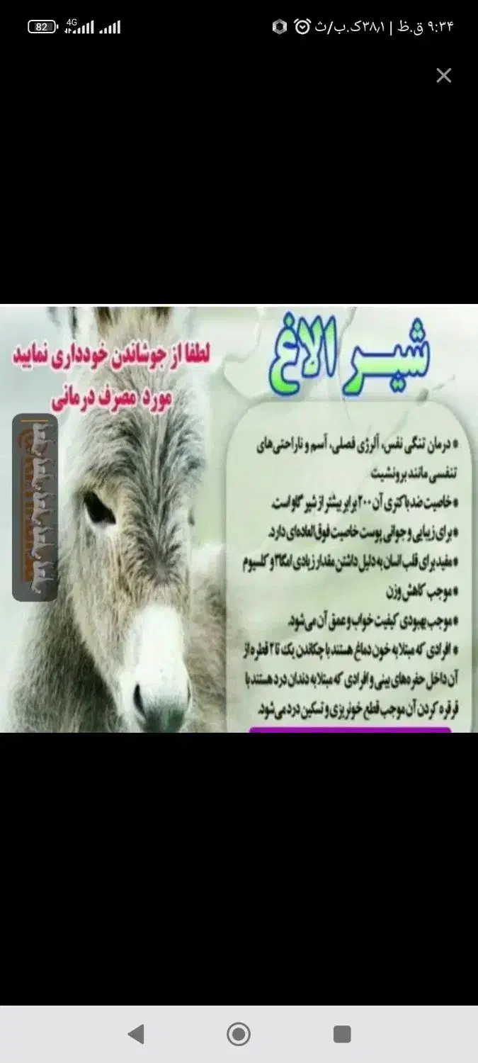 شیر الاغ|حیوانات مزرعه|مشهد, كنويست|دیوار