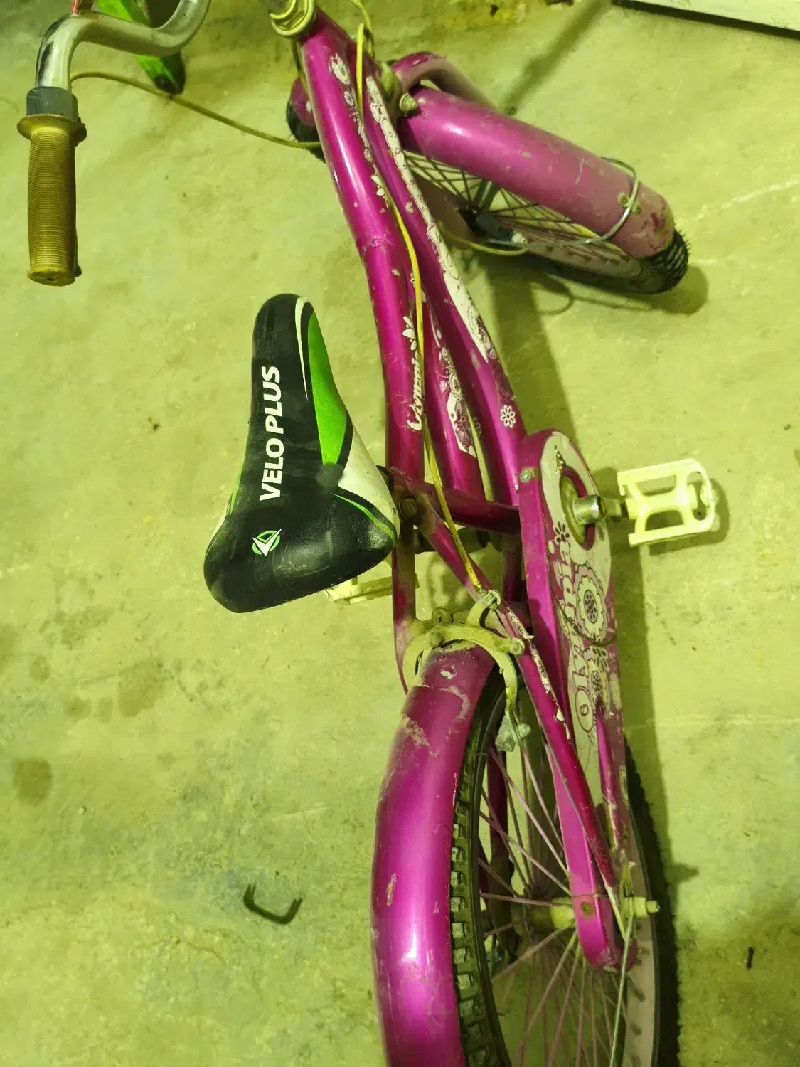 دوچرخه ویوا حرفه‌ای|دوچرخه، اسکیت، اسکوتر|خورموج, |دیوار