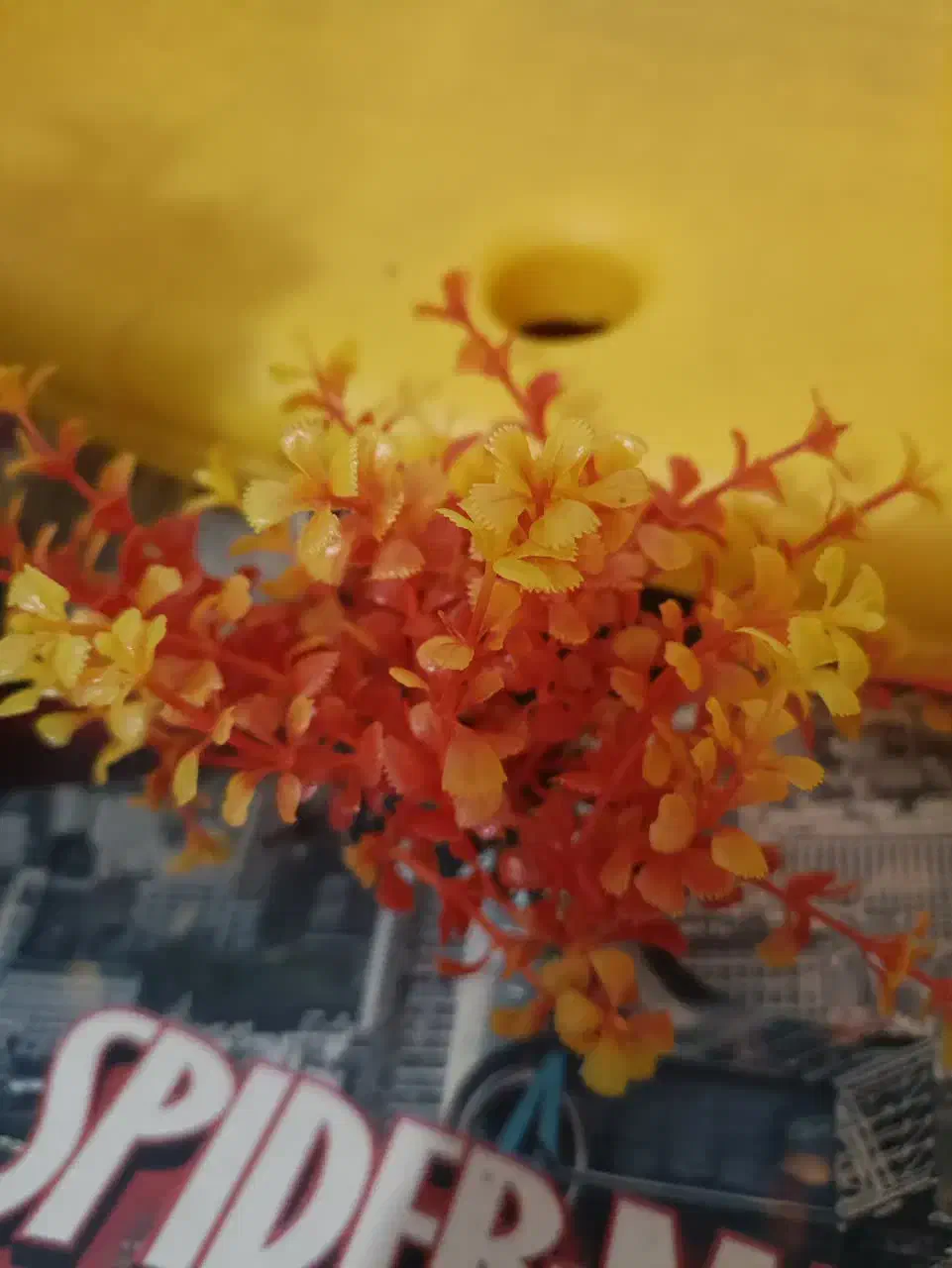 آکواریوم شیشه خم|ماهی|بافت, |دیوار