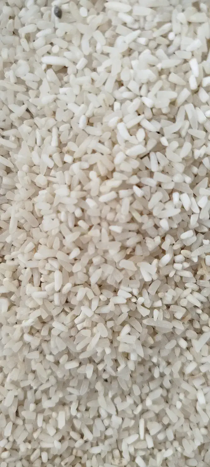 برنج طارم دم سیاه اب رودخانه|خوردنی و آشامیدنی|گالیکش, |دیوار
