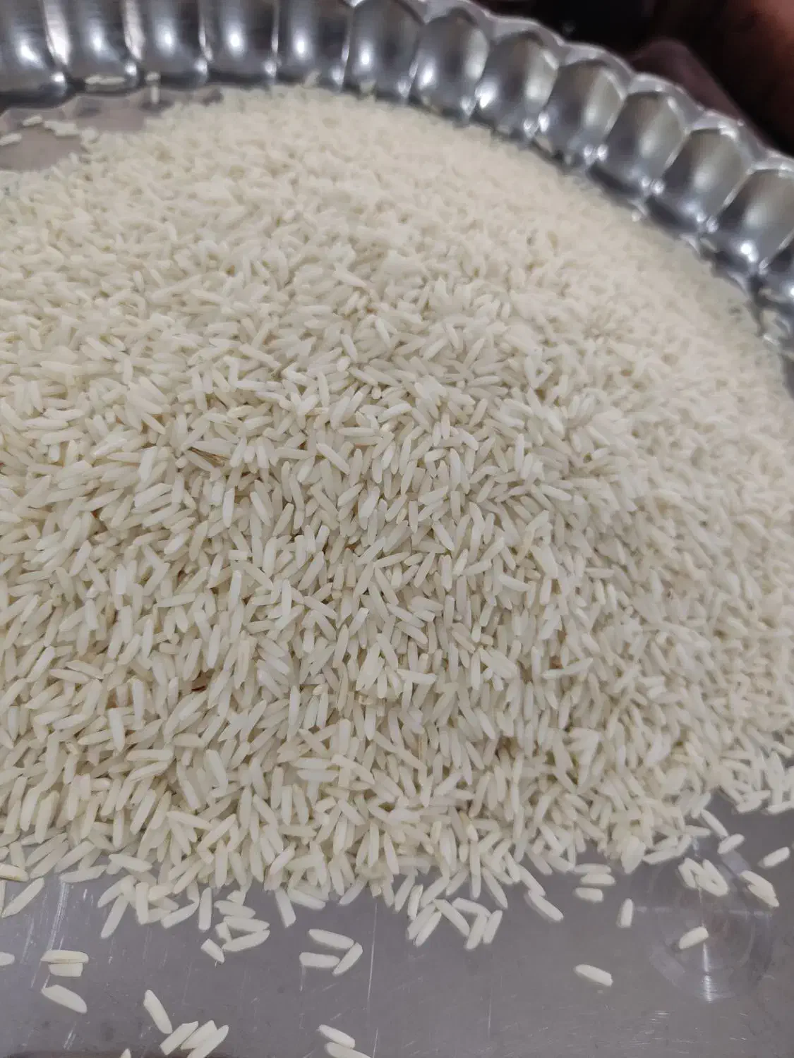 ۲۰ کیلو برنج دم سیاه|خوردنی و آشامیدنی|رشت, معلولین|دیوار