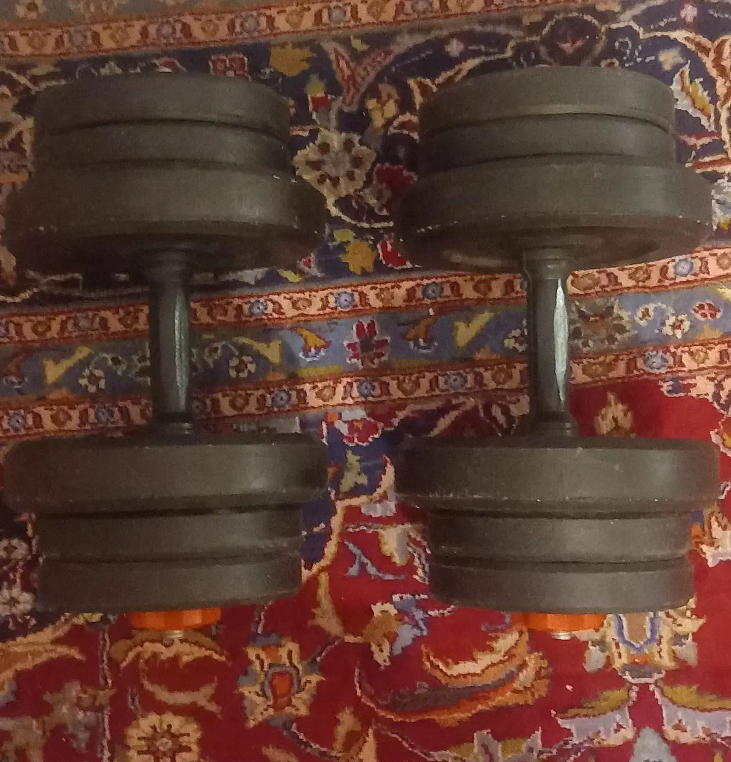 جفت دمبل ۲۰ کیلویی|تجهیزات ورزشی|هشتگرد, فاز ۲ مهستان|دیوار