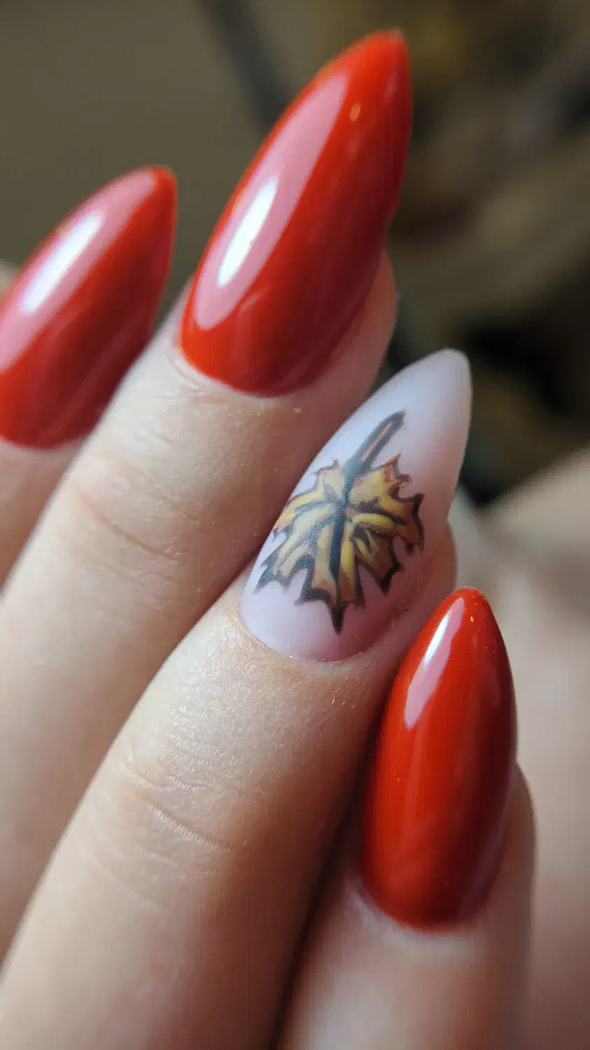 ناخن هاتو خوشگل کن|خدمات آرایشگری و زیبایی|میاندوآب, |دیوار