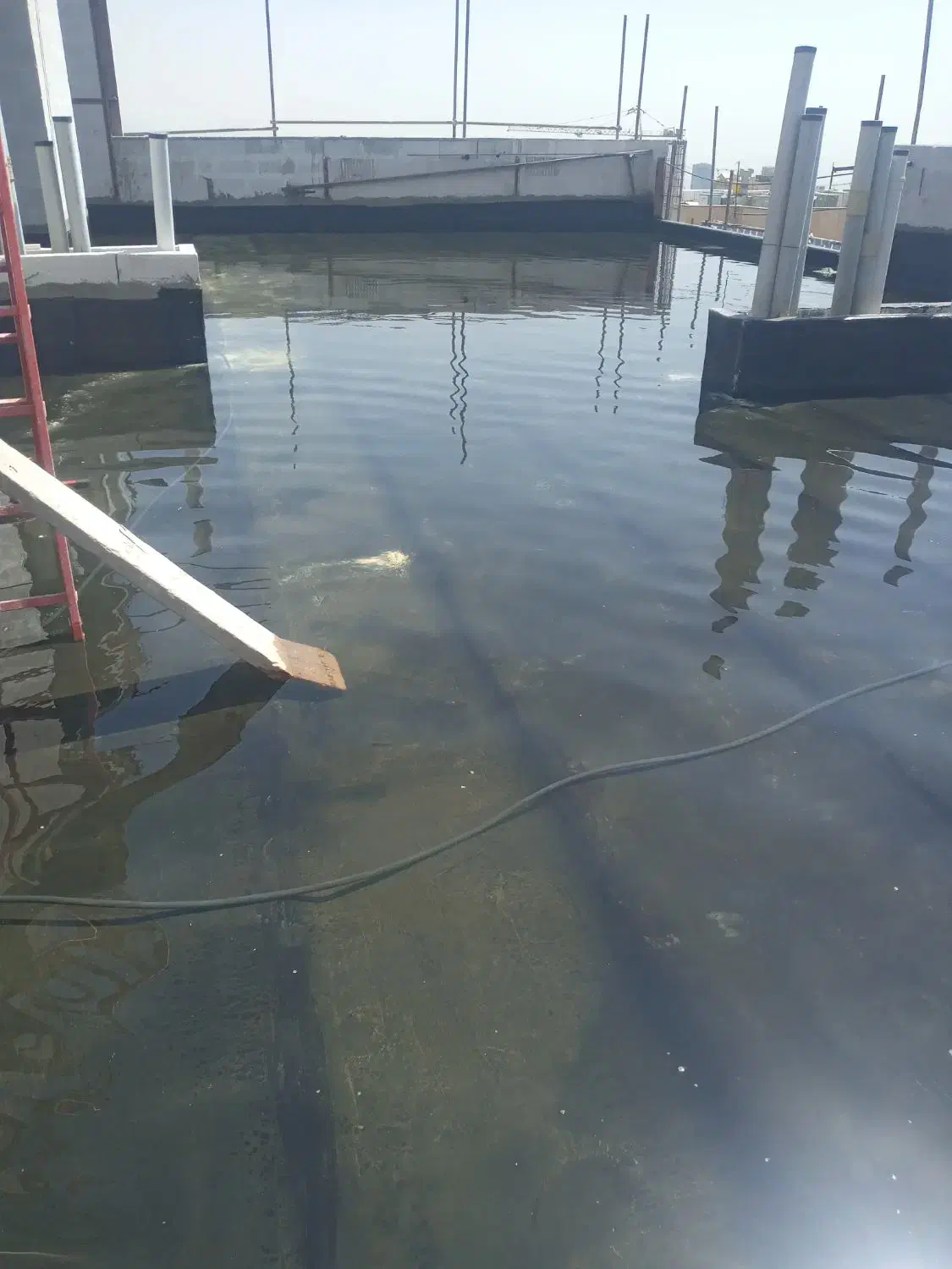 نصب تخصصی ایزوگام و قیرگونی با ضمانت|خدمات پیشه و مهارت|تهران, امیریه|دیوار