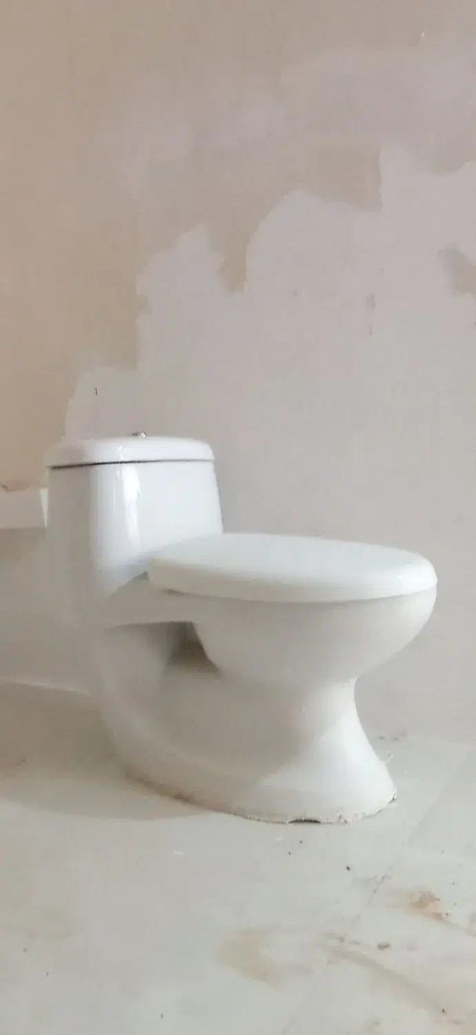 روشویی و توالت فرنگی|لوازم سرویس بهداشتی|خرم‌آباد, |دیوار