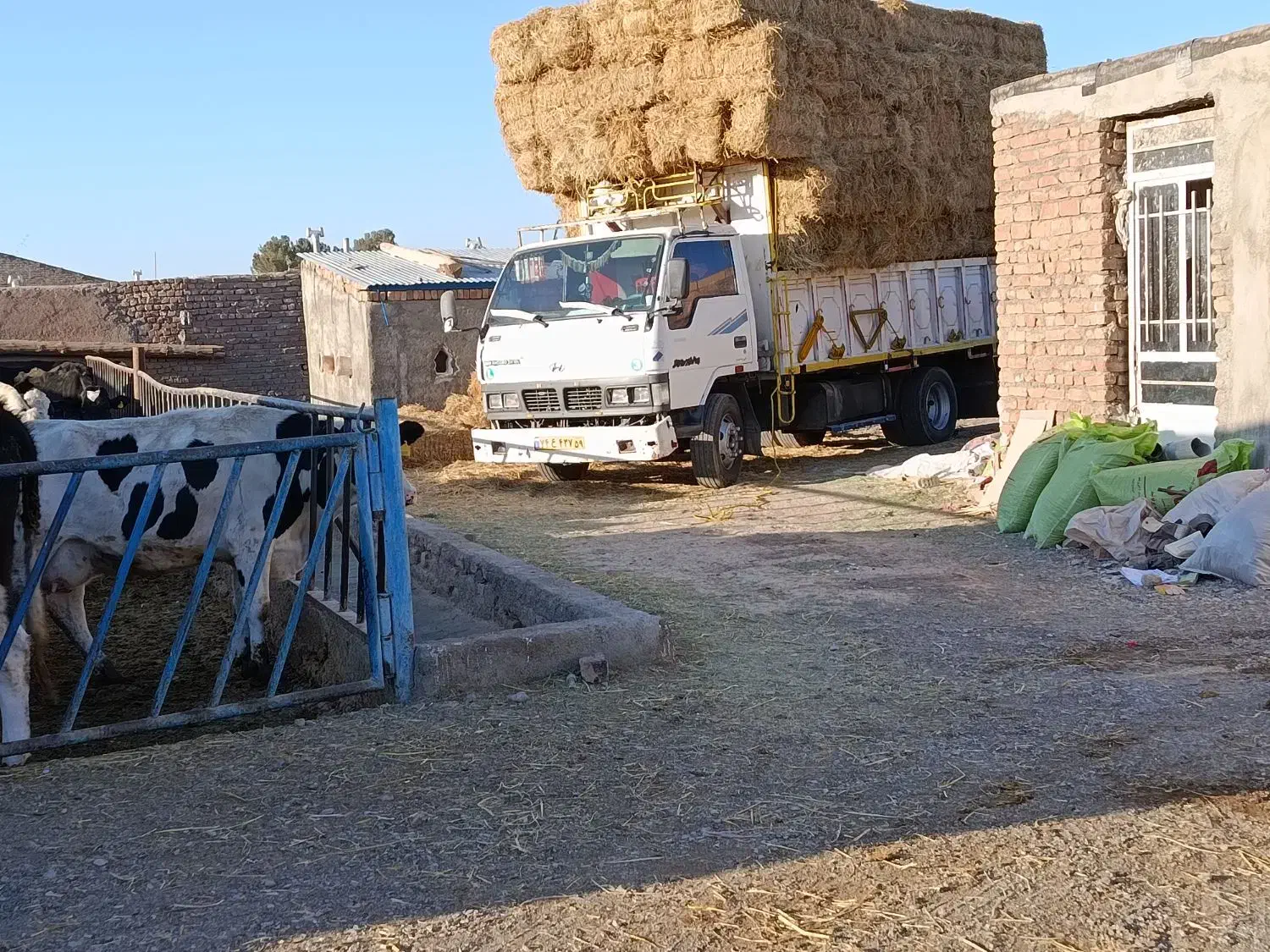 فروش کاه برنج|لوازم جانبی حیوانات|سبزوار, هویزه|دیوار