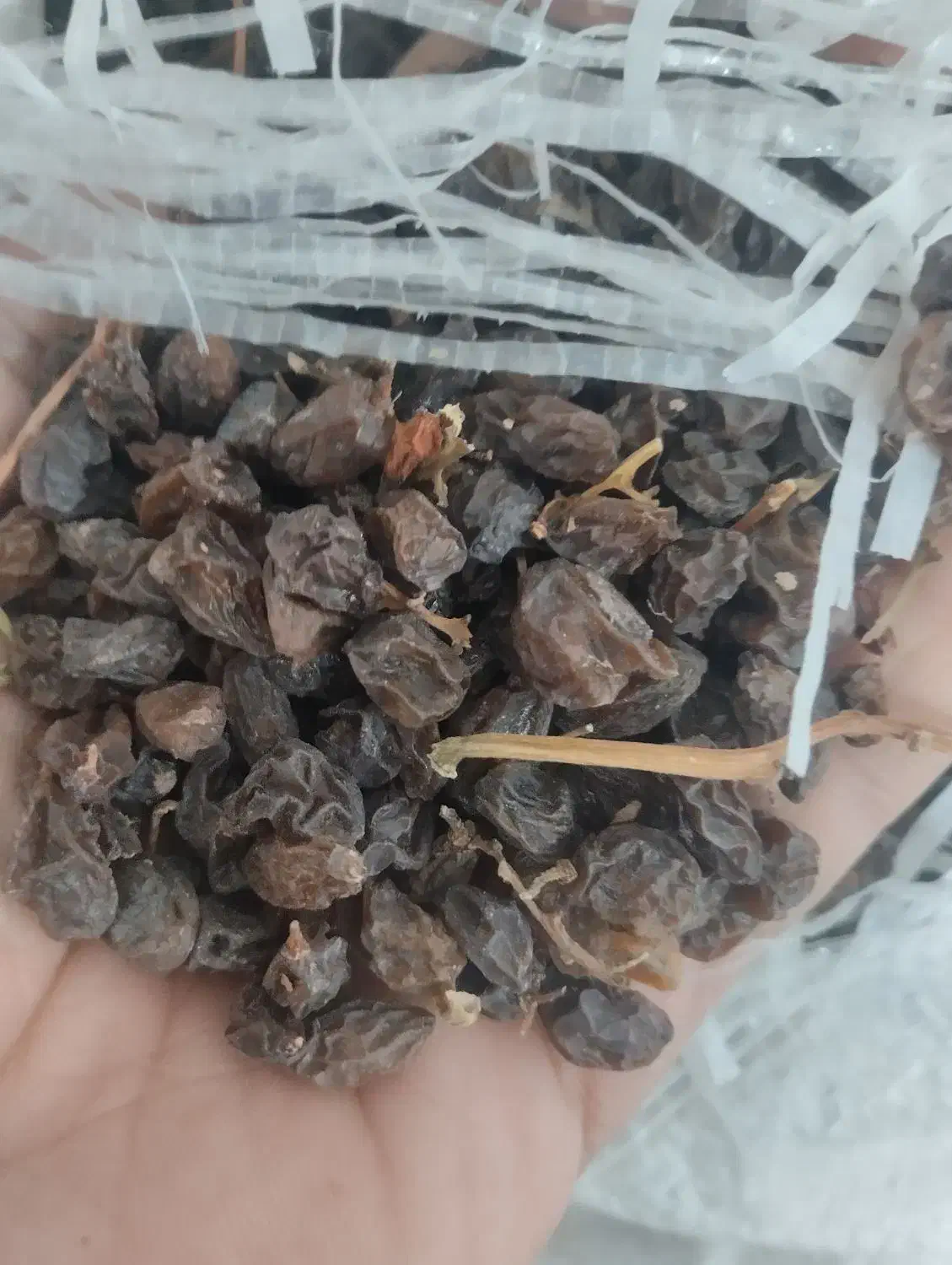 کشمش تمیز مخصوص..|خوردنی و آشامیدنی|سبزوار, ایزی شهر|دیوار