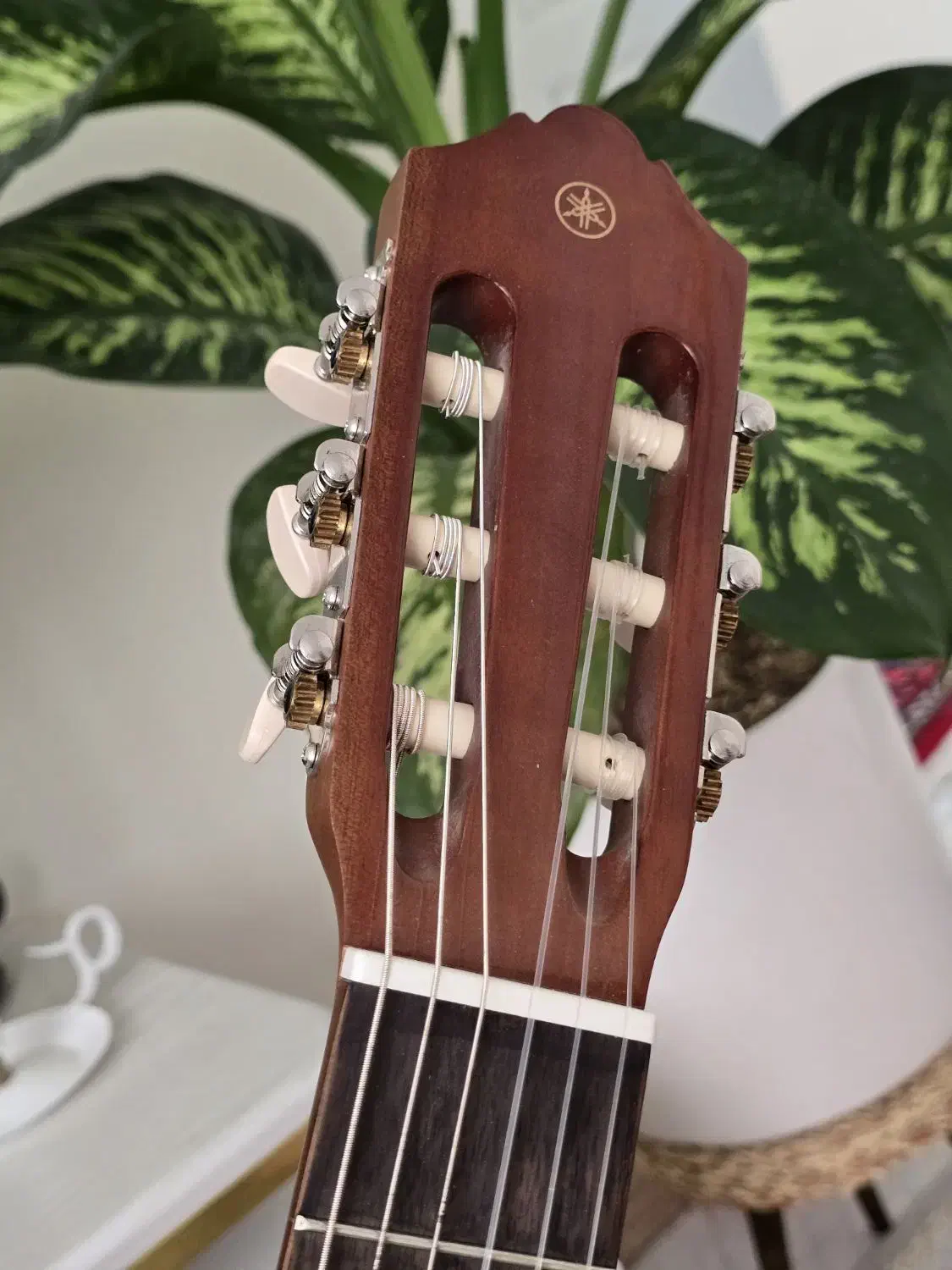 گیتار یاماها c40|گیتار، بیس، امپلیفایر|تهران, نیروی دریایی|دیوار