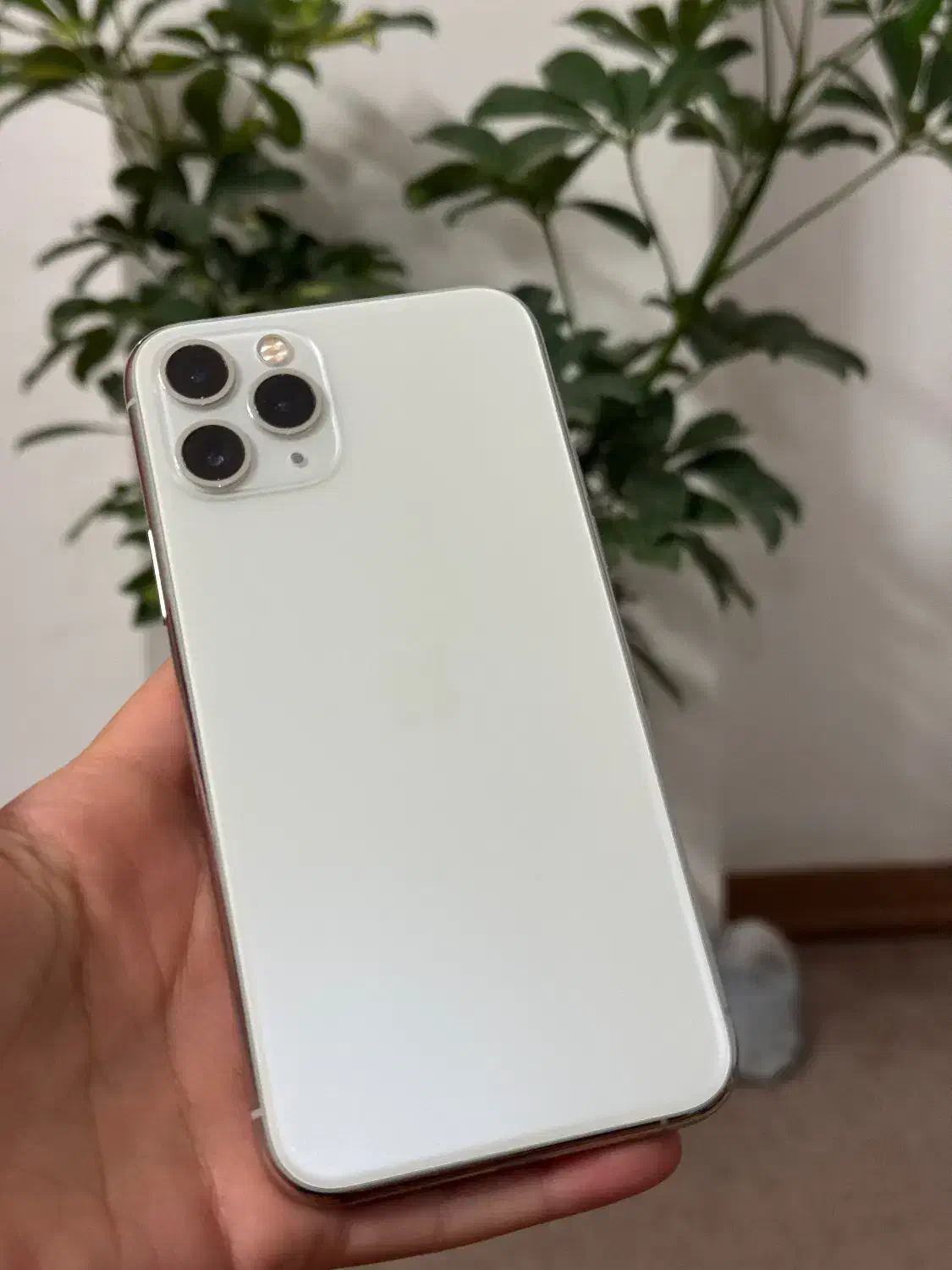 ایفون 11 pro|موبایل|بجنورد, |دیوار