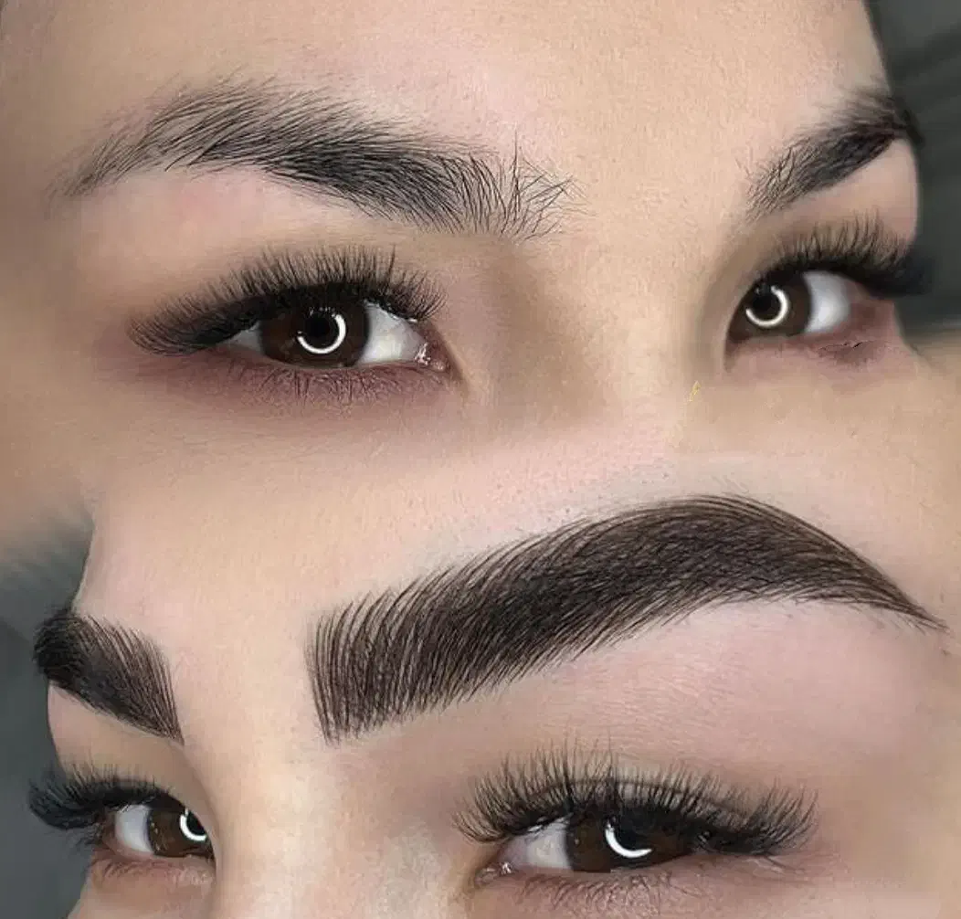 آموزش تاتوبدن و صورت|خدمات آموزشی|شیراز, سینما سعدی|دیوار