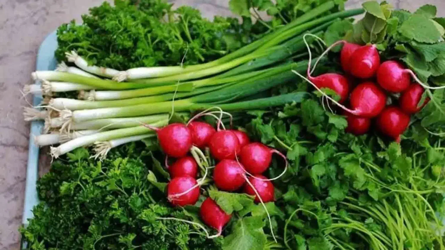 استخدام برای کار پاک کردن سبزیجات در کارگاه|استخدام صنعتی، فنی، مهندسی|بابل, |دیوار