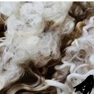 پشم گوسفندی|رختخواب، بالش، پتو|تبریز, |دیوار