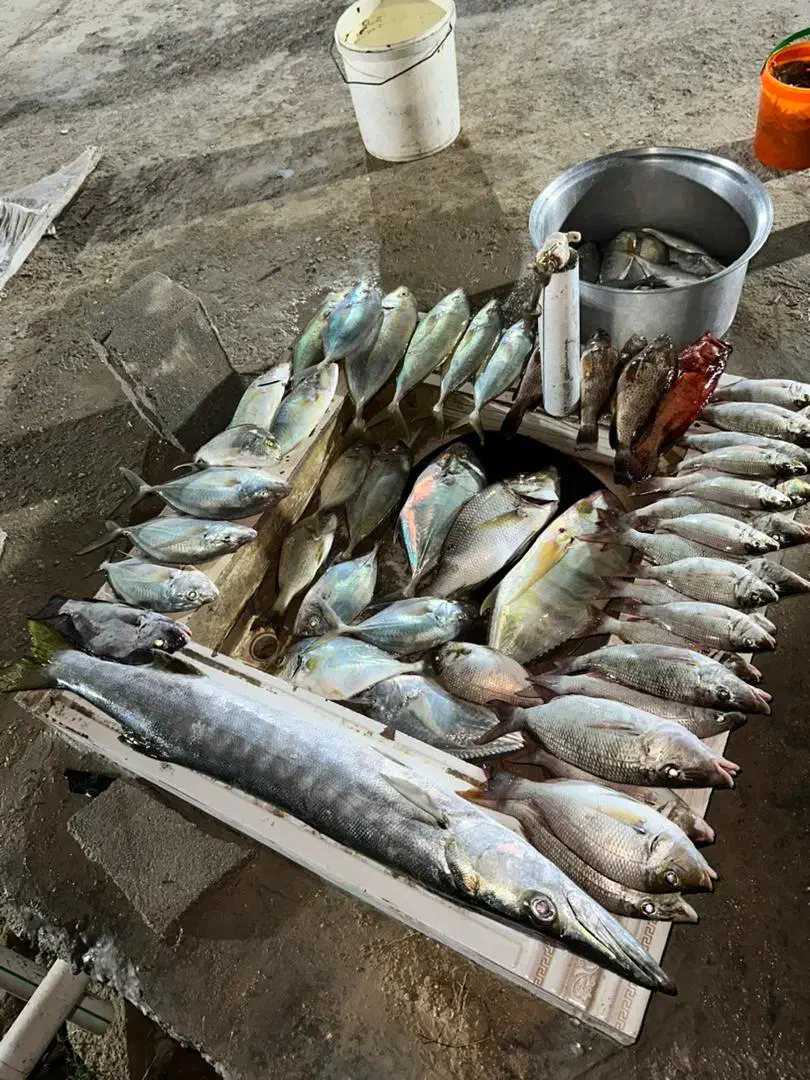 تور به جزیره بکر هنگام- با اتوبوس سیستم دار|تور و چارتر|شاهین‌شهر, خبرنگار|دیوار