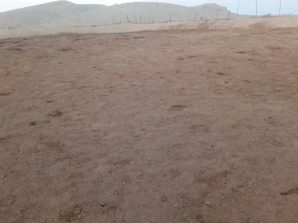 کود شتر|خدمات باغبانی و درختکاری|حاجی آباد, |دیوار