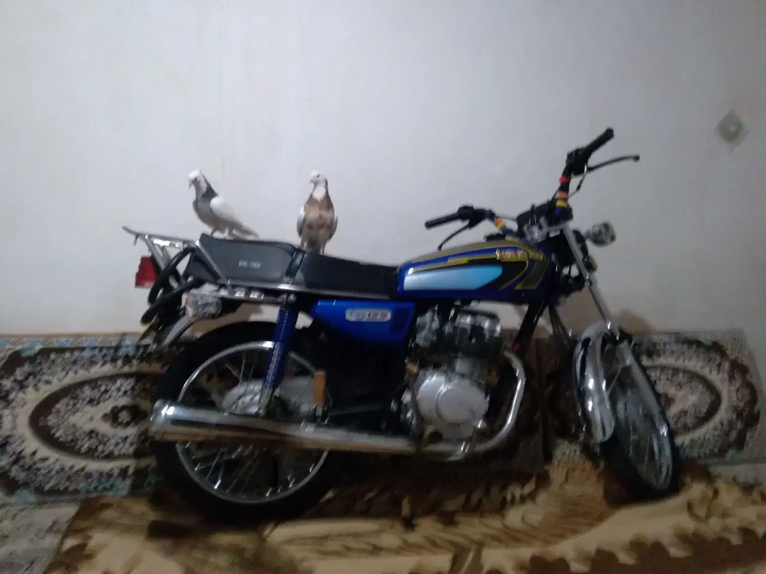 موتور رهرو ۱۲۵|موتورسیکلت|فامنین, |دیوار